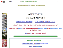 Tablet Screenshot of mainlyamaryllidsgarden.com